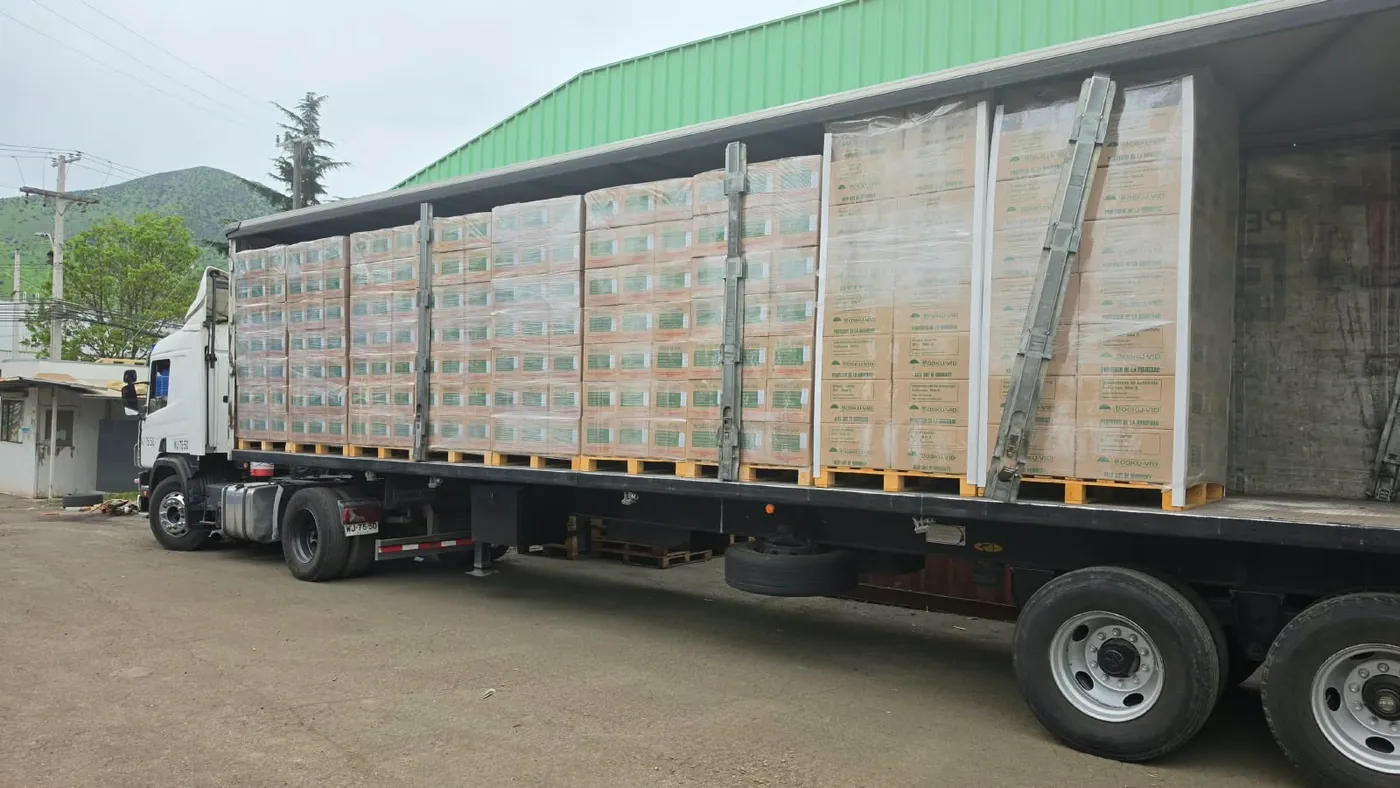 Semirremolque cargado con pallets de cajas embaladas